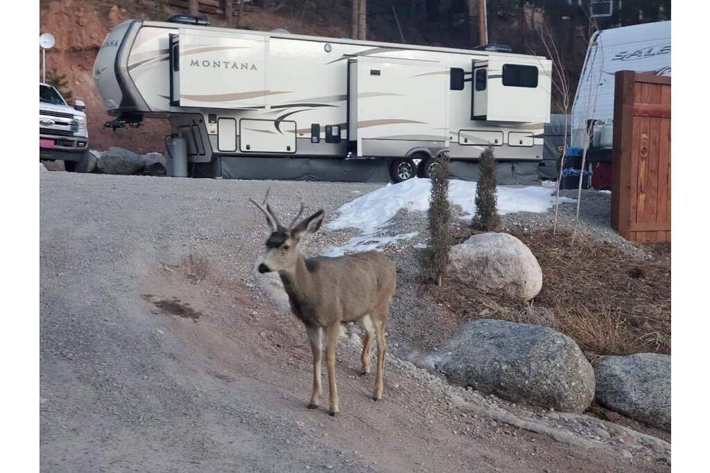 \"Luxury Mountain Retreat,Tiny Home Away from Home\" in Teller County