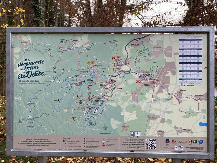 Gîte pour 4 personnes, avec terrasse et piscine ainsi que jardin et vue à Bœrsch - 3