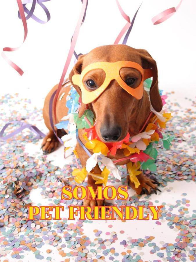 Hôtel pour 3 personnes, avec piscine et jardin, adapté aux familles à São Roque - 4