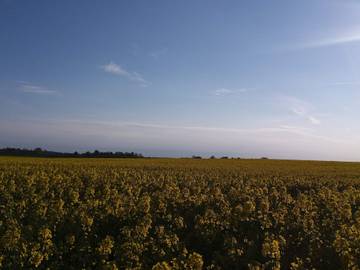 Ferieudlejning til 6 Personer i Frederikssund, Roskilde Fjord, Billede 1