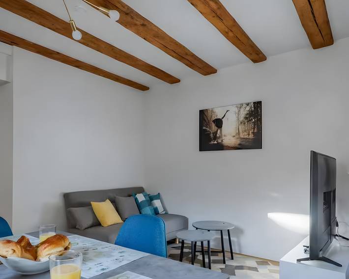 Apartamento entero, Apartamento 'La Ballerine 3 Dormitorios' con vistas a la montaña y Wi-Fi in Romans-sur-Isère, Región de Valence