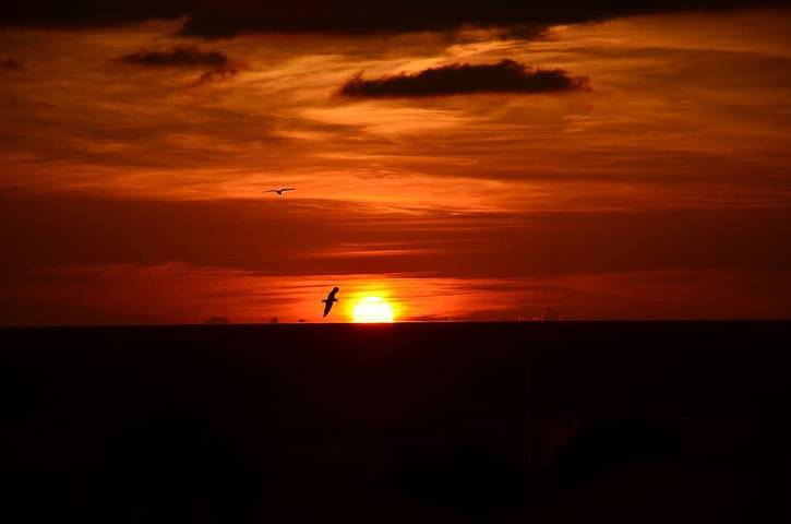 Vacation rental for 8 people, with terrace in Cape Coral