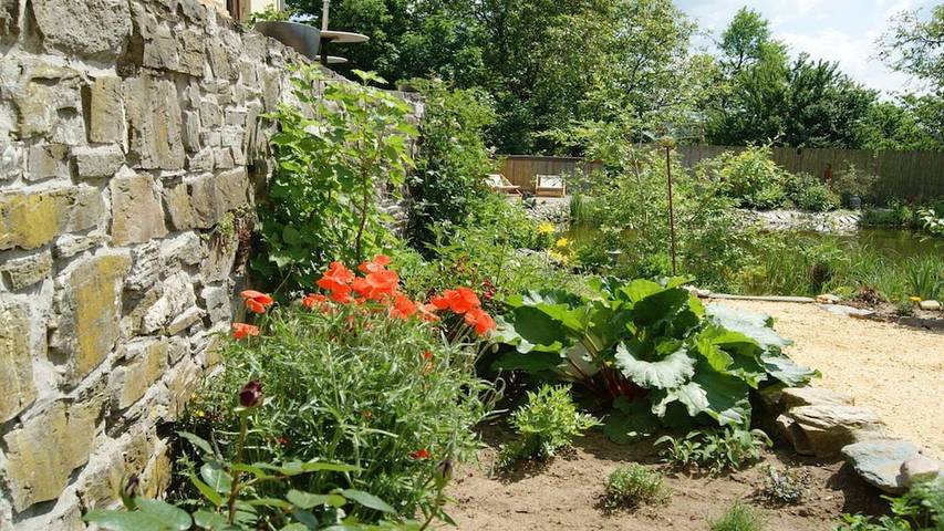 Ferienhaus für 22 Personen, mit Terrasse am Taunus - 3