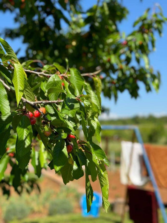 Maison d’hôte pour 4 personnes, avec jardin ainsi que vue et terrasse dans Međugorje - 2