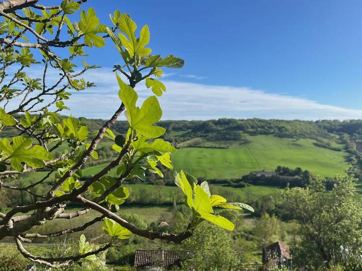 Chambre d’hôte pour 2 personnes, avec jardin ainsi que vue et piscine à Cordes-sur-Ciel - 4
