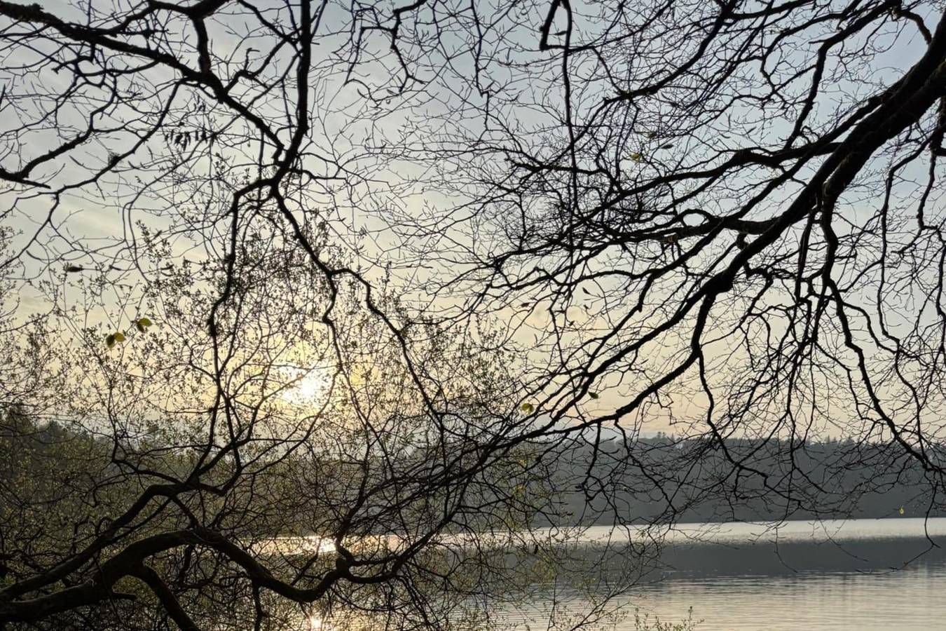 Ganzes Studio, Plymouth - Studio - Stay 2 - Parking - City Centre in Plymouth, Südwestengland