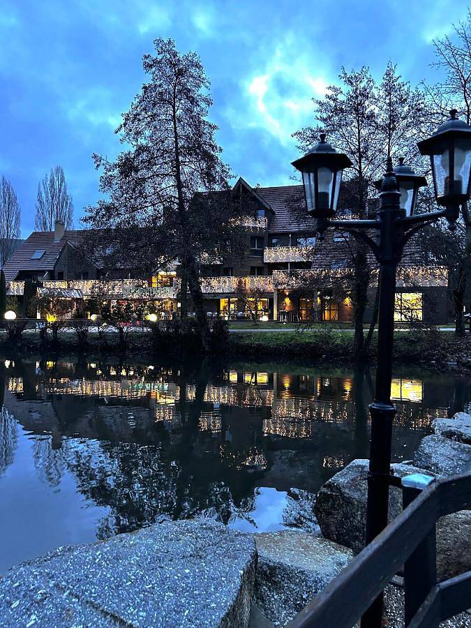 Hotel für 2 Personen, mit Ausblick und Garten sowie Seeblick, mit Haustier im Elsass - 3