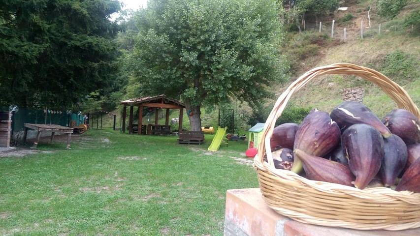 Chambre d’hôte pour 8 personnes, avec jardin et vue, adapté aux familles à Lamezia Terme - 3