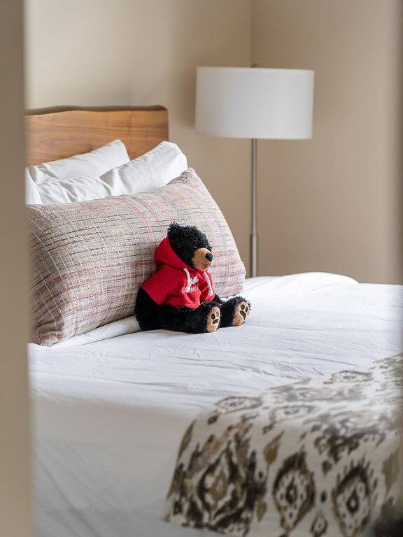 Bildende Kunst!Panorama Bergblick! Luxuriöse 5Brs / 4. 5Ba Townhome, Canmore für 12 in Canmore, Banff-Nationalpark