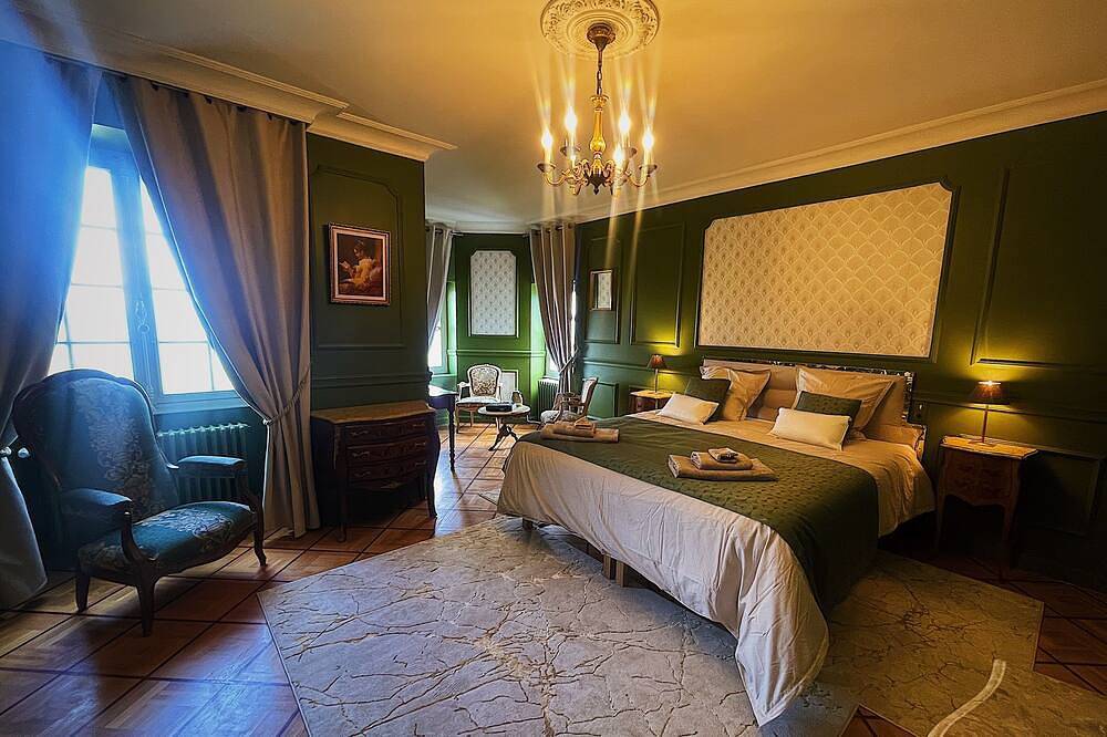 Charming Bed & Breakfast in a castle with breakfast included in Saint-Genest-Lerpt, Loire