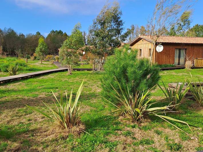 Gîte pour 4 personnes, avec piscine ainsi que terrasse et jardin à Salles - 3