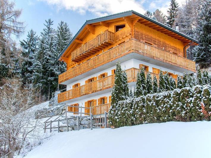 Vakantiehuis voor 22 personen, with sauna and terras as well as tuin - 1