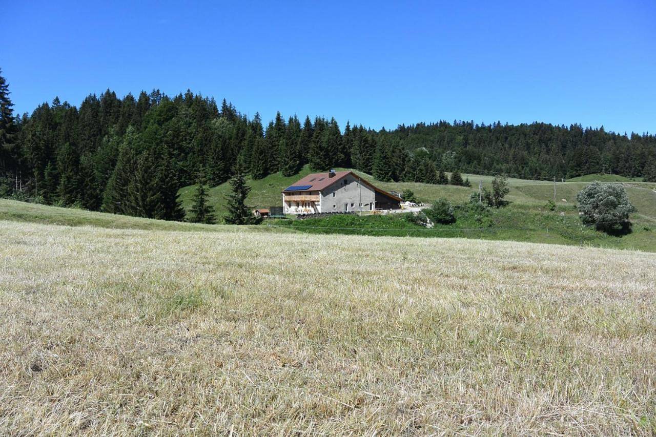 Appartement entier, Gîtes Tré Le Grenier in Les Moussières, Parc naturel régional du Haut-Jura