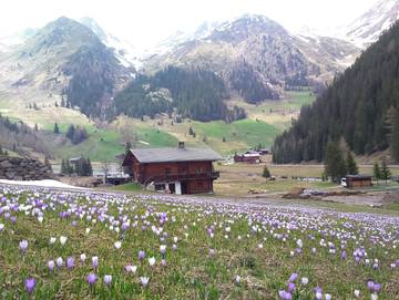 Chalet für 7 Personen in Innervillgraten, Villgratental, Bild 3