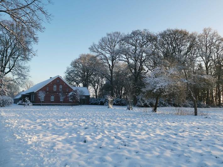 Ruheoase am Wald 35651 - Tiny House Traumblick in Uplengen, Landkreis Leer