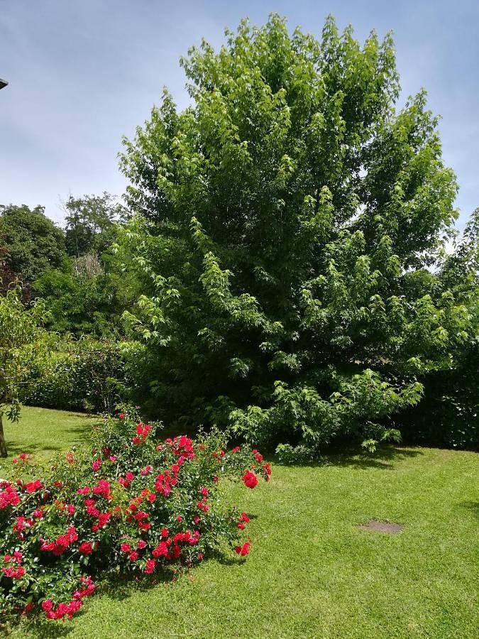 B&B Terra del Sole in Valmontone, Provincia di Roma