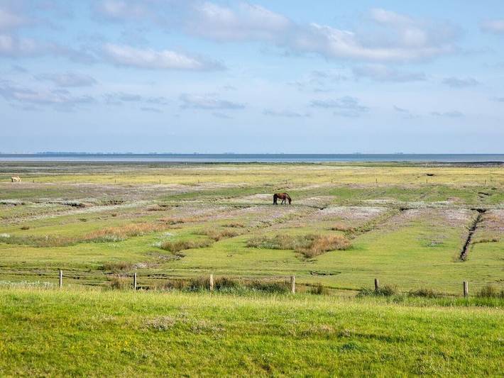 Ferienhaus für 6 Personen, mit Terrasse auf Juist - 3