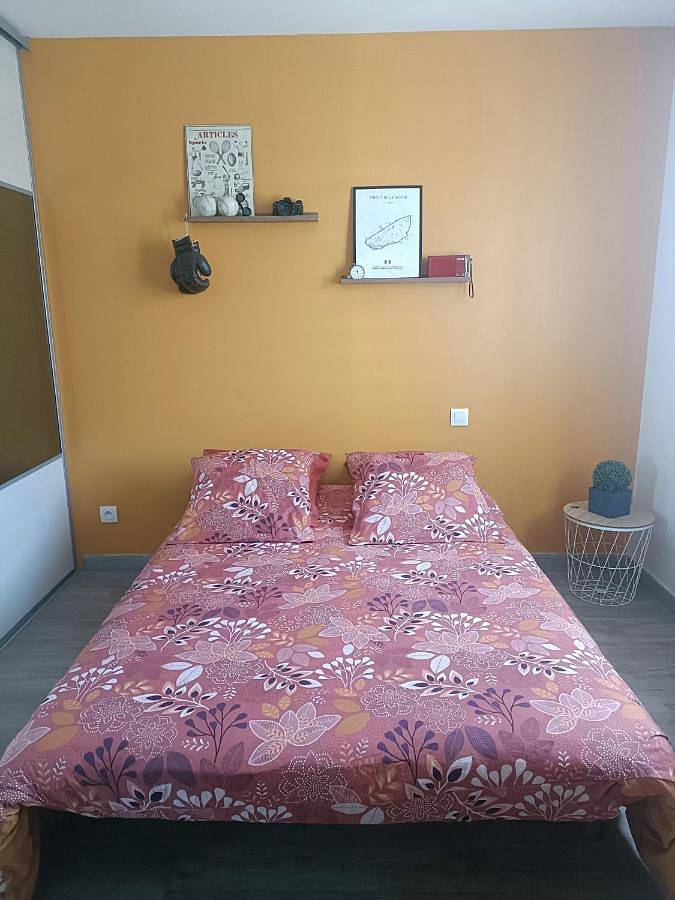 Cottage pour 4 personnes, avec jardin, animaux acceptés à Chemiré-le-Gaudin