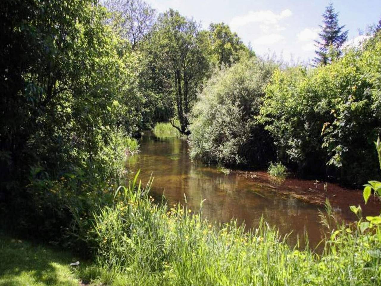 6 Personen Ferienhaus in Hovborg in Hovborg, Vejen