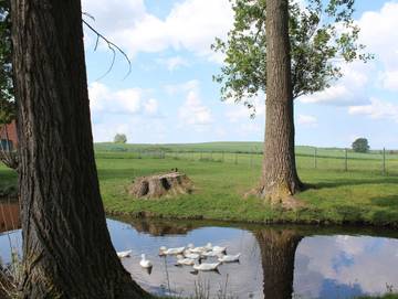 Bauernhof für 9 Personen in Groß Wokern, Mecklenburgische Schweiz, Bild 4