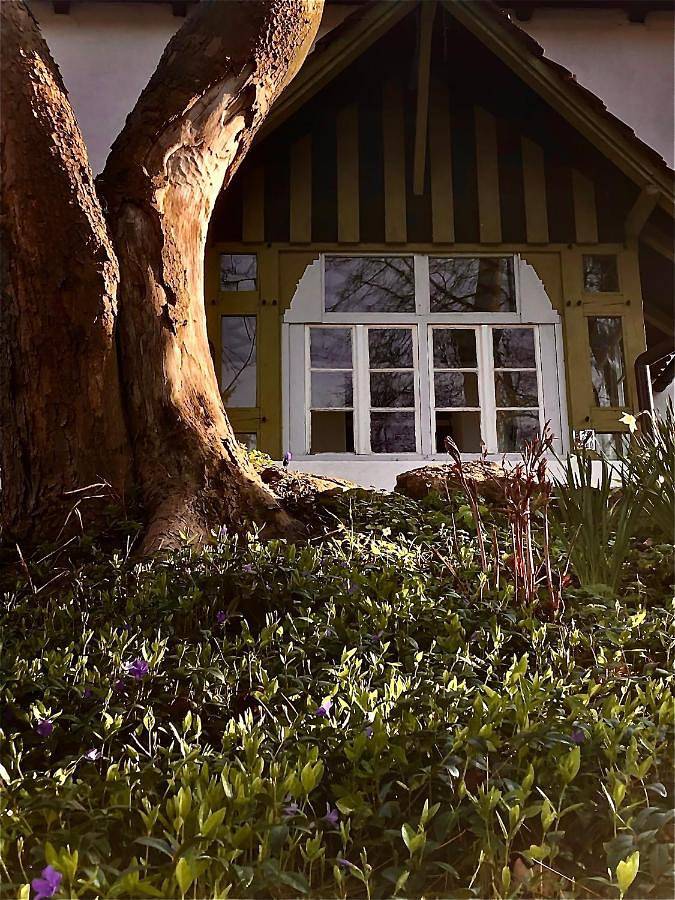 Slow life Karkonosze in Wojcieszyce, Sudety (Polska)