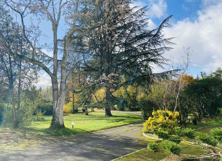 Chambre d’hôte pour 4 personnes, avec jardin et piscine à Saint-Georges-sur-Cher - 2