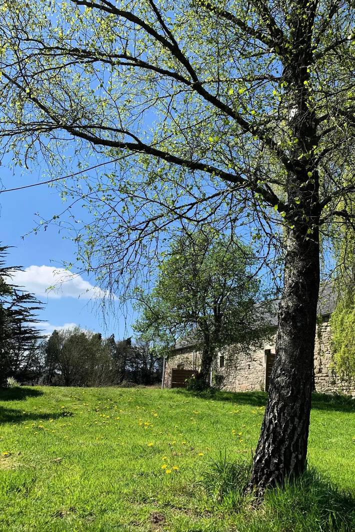Location de vacances pour 2 personnes, avec piscine et jardin à Plounérin - 4