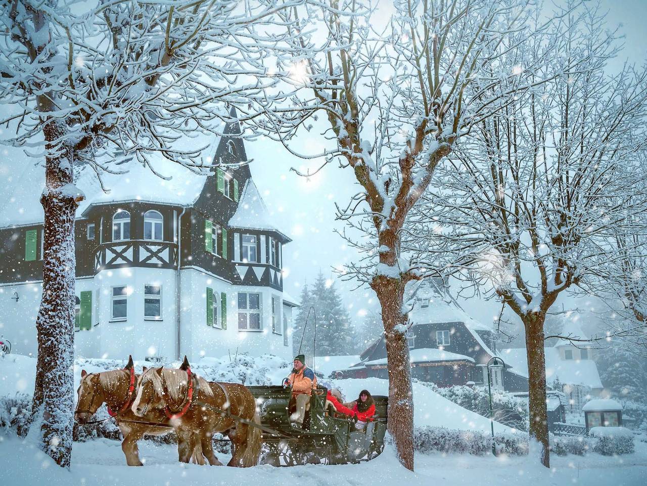 Ferienwohnung für 4 Personen in Altenberg, Osterzgebirge