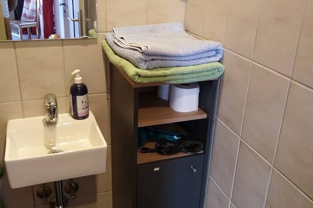 Self-contained with kitchen, terrace, 5 min from lake, station and shops in Villette (Lavaux), Bourg-en-Lavaux