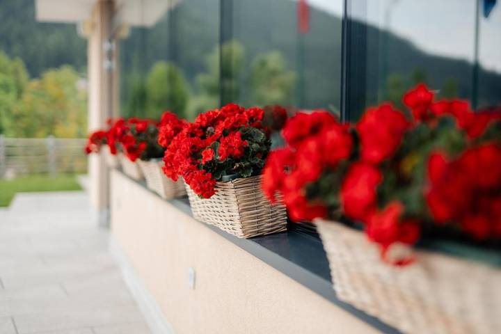 Hotel für 3 Personen, mit Balkon und Whirlpool sowie Terrasse und Garten in Trient - 3