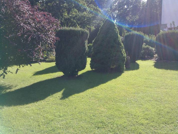 Ferienwohnung für 2 Personen, mit Terrasse in Putbus - 2