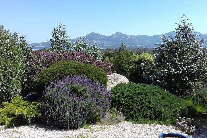 Ferienwohnung für 2 Personen, mit Garten und Terrasse, mit Haustier in Calvi