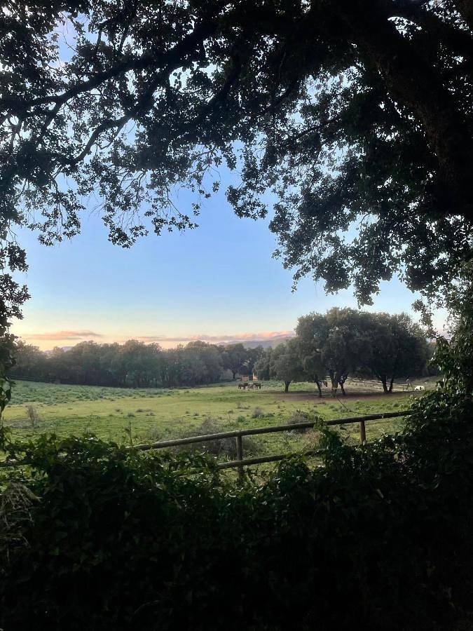 Maison de vacances pour 6 personnes, avec piscine ainsi que jardin et vue, animaux acceptés