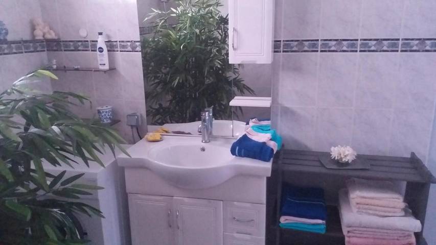 Location de vacances pour 4 personnes, avec piscine ainsi que vue et jardin dans Punaauia - 4