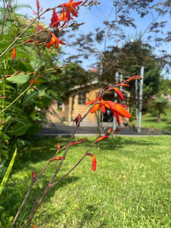 Maison d’hôte pour 4 personnes, avec jardin et jacuzzi en Pyrénées-Atlantiques - 4