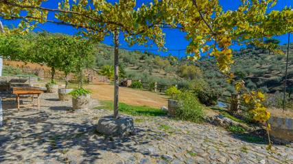 Casa Rural para 12 Personas en Cazalla de la Sierra, Sierra Morena, Foto 4