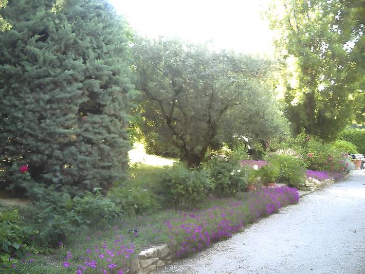 Chambre d’hôte pour 2 personnes, avec jardin et piscine dans Drôme provençale - 4