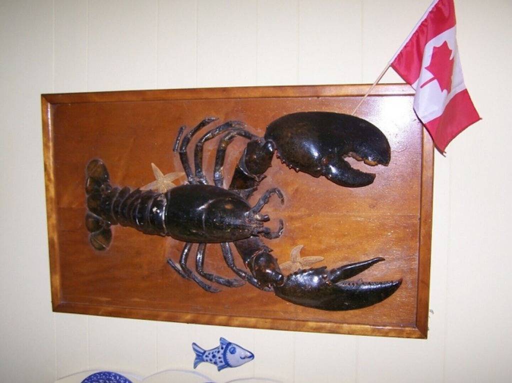 Cabin Rentals And Lodges for 6 Guests in New Brunswick, Canada