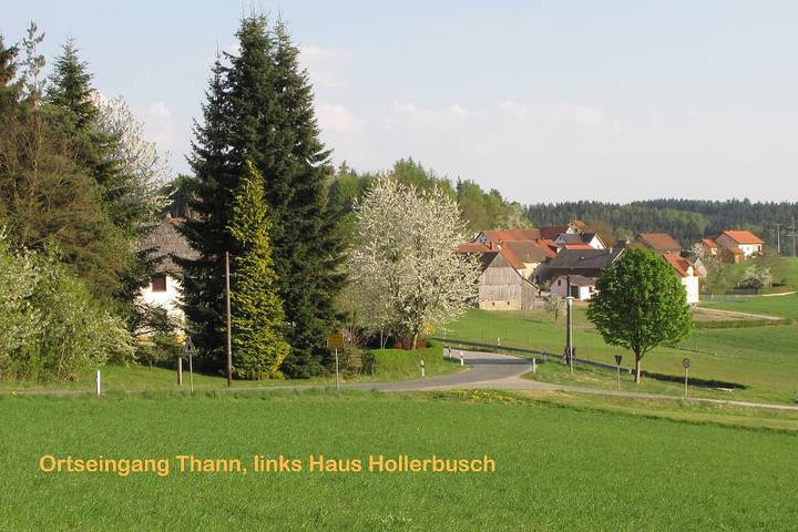 Ganze Wohnung, Haus Hollerbusch - 1x Fewo Og in Neunburg vorm Wald, Naturpark Oberpfälzer Wald