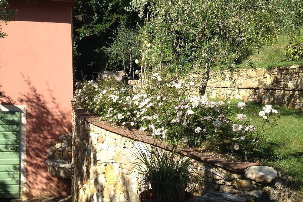 Green corner of paradise in Calci near to Pisa in Calci, Pisa e dintorni