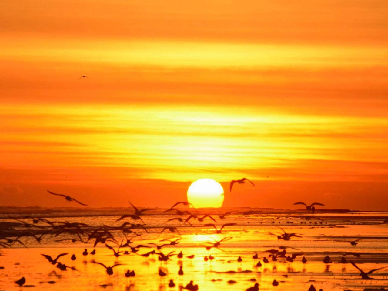 River View Cottage in Tweedmouth, Northumberland