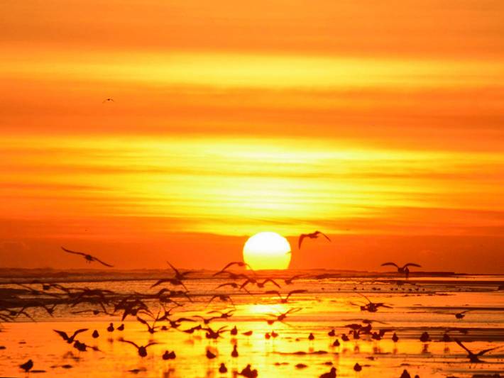 Cottage für 4 Personen - 1