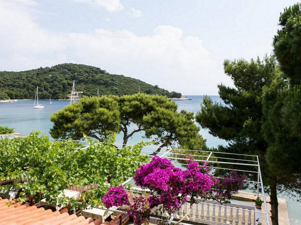 Ganze Wohnung, Apartments Franka Saplunara-One-Bedroom Apartment with Terrace and Sea View No1 in Mljet