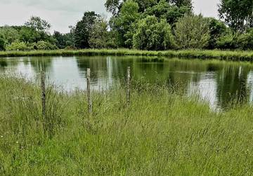 Maison d’hôte pour 2 personnes, avec vue et jardin, animaux acceptés à Saint-Colomb-de-Lauzun