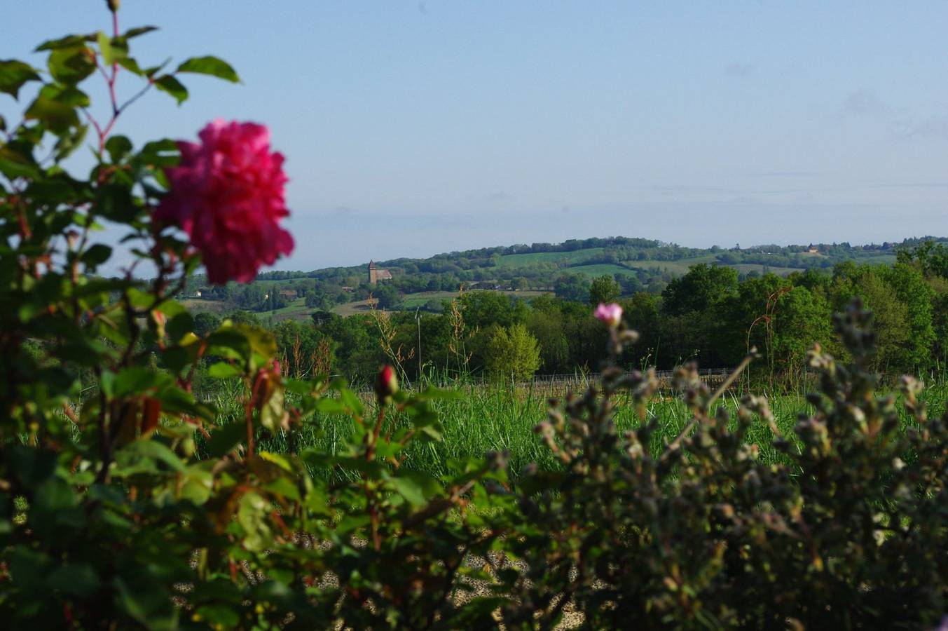 Gîte du Claous, en campagne Gasconne in Bouzon-Gellenave, Gers