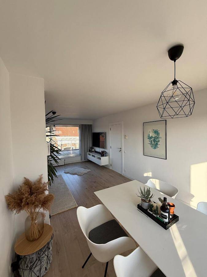 Gîte pour 4 personnes, avec terrasse et vue, animaux acceptés à Boom - 2