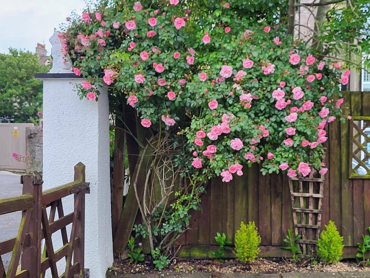 Standard Bungalow in Weston-Super-Mare, North Somerset