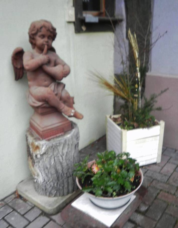 Gîte pour 2 personnes, avec jardin à Marckolsheim - 3