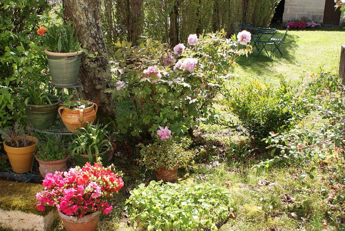 Les Chambr'hôtes de Gallau - Chambre Ma Reine Claude in Lansac, Région de Blaye