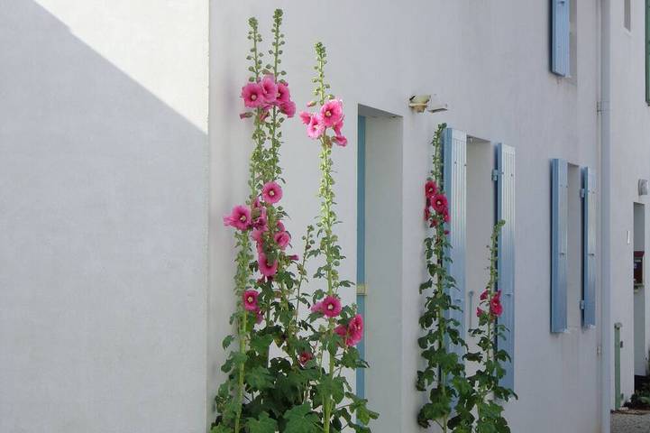 Ferienhaus für 6 Personen, mit Terrasse und Garten - 1